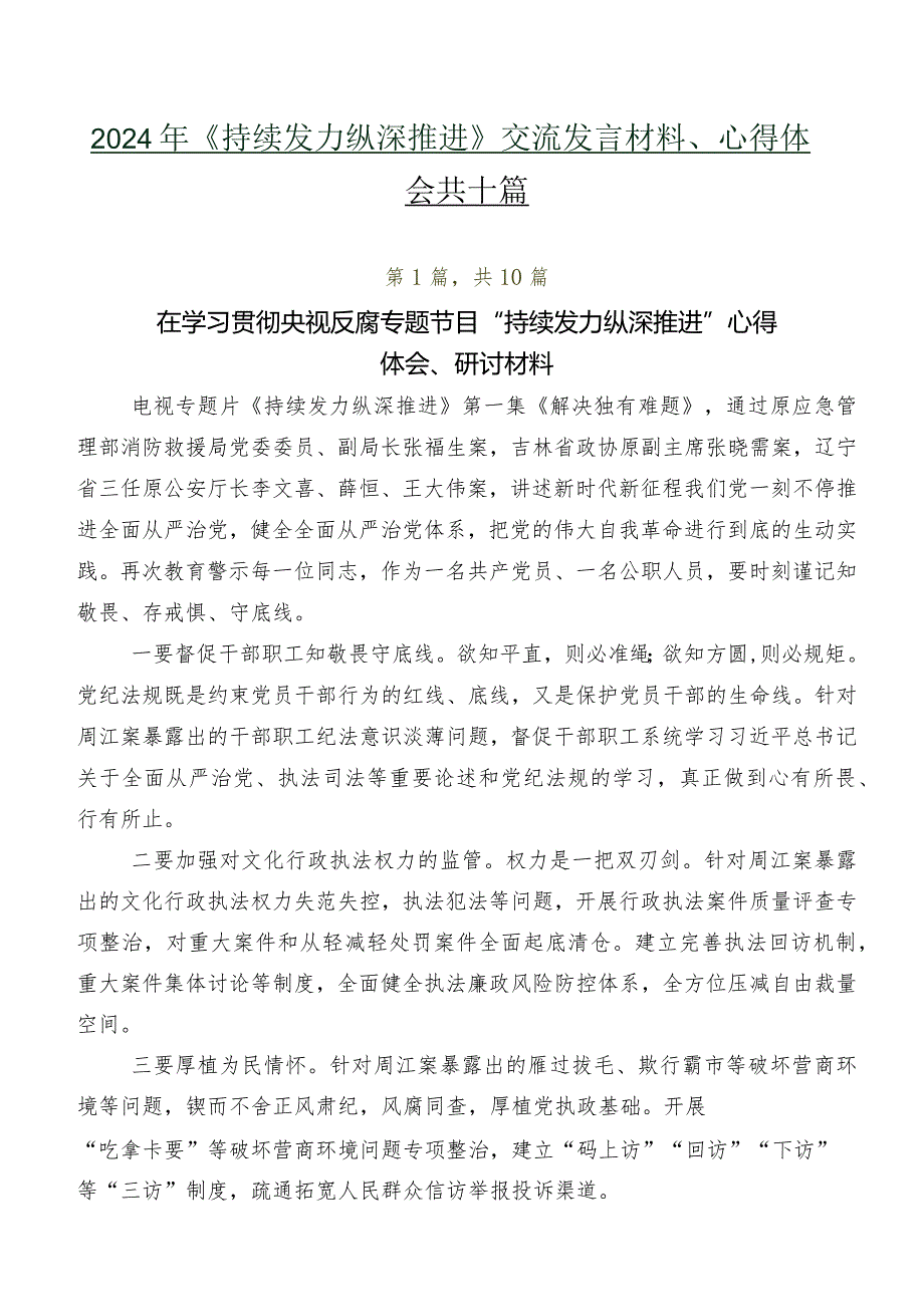 2024年《持续发力纵深推进》交流发言材料、心得体会共十篇.docx_第1页