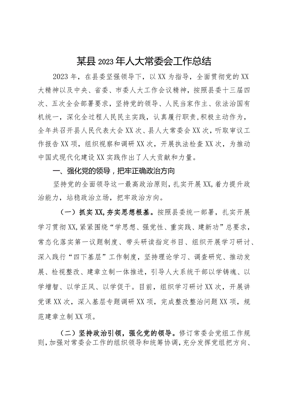 某县2023年人大常委会工作总结报告.docx_第1页