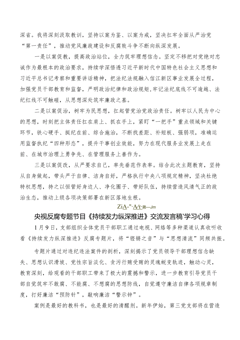 专题节目《持续发力纵深推进》发言材料.docx_第2页