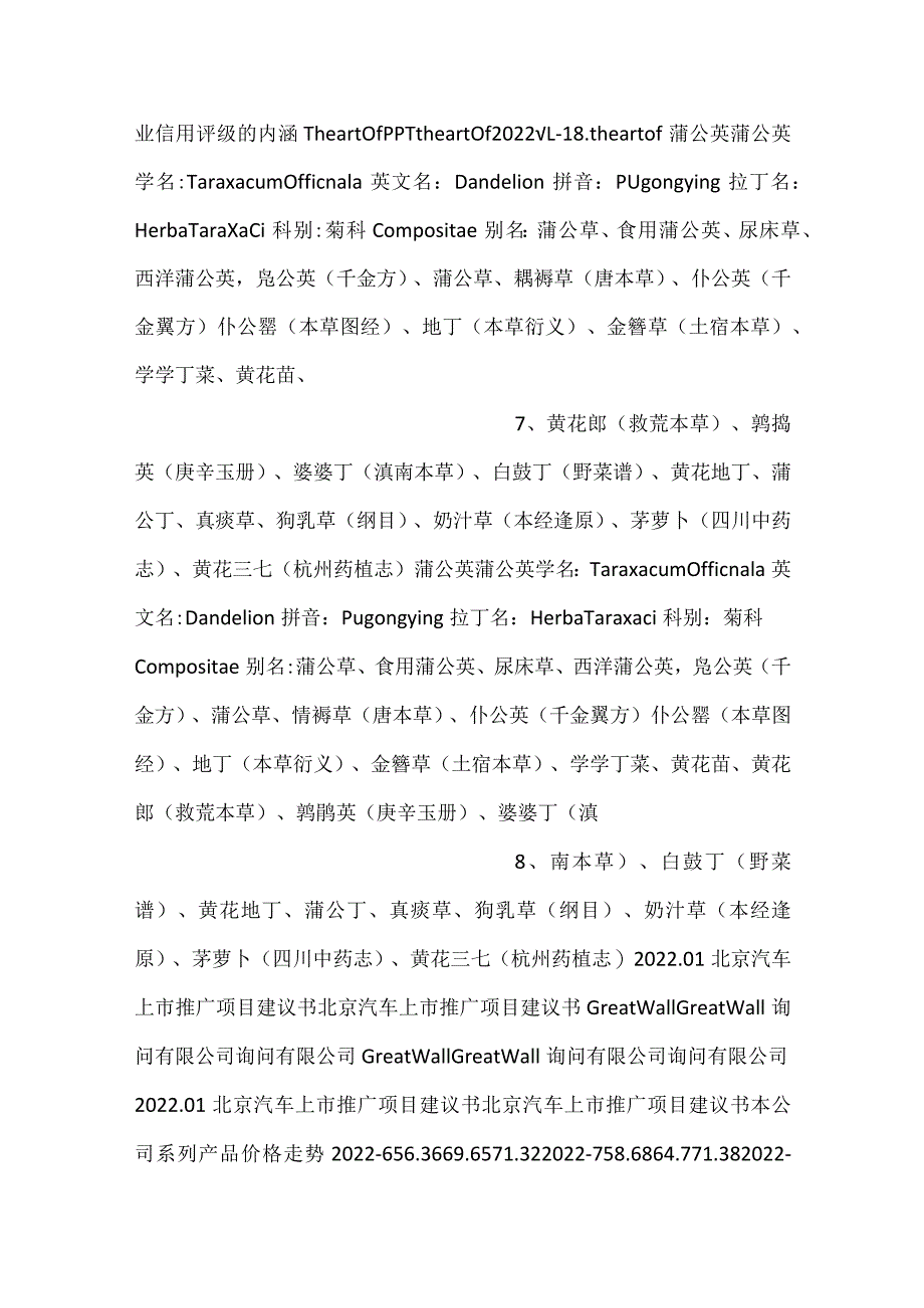 -XX公司战略规划报告PPT课件内容-.docx_第3页