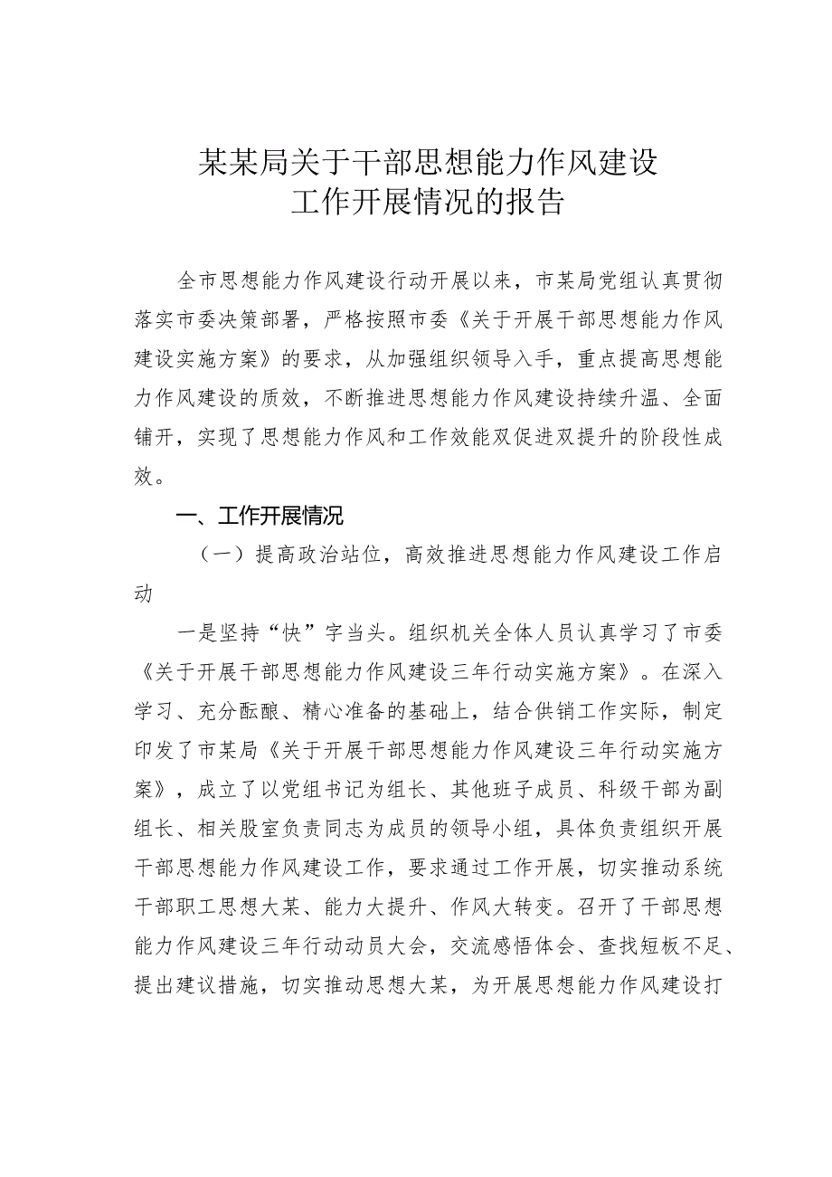 某某局关于干部思想能力作风建设工作开展情况的报告.docx_第1页