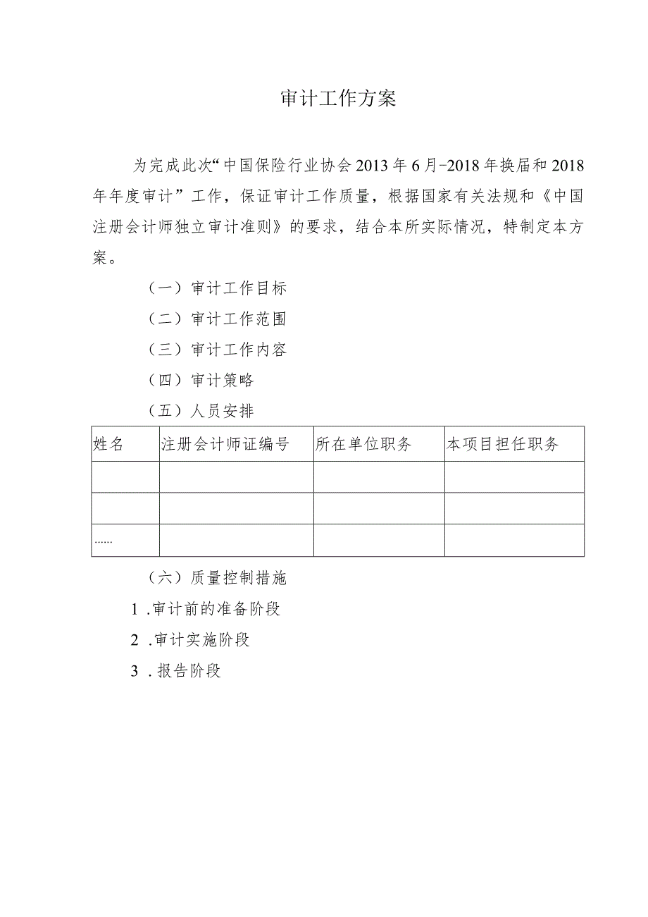 审计工作方案.docx_第1页