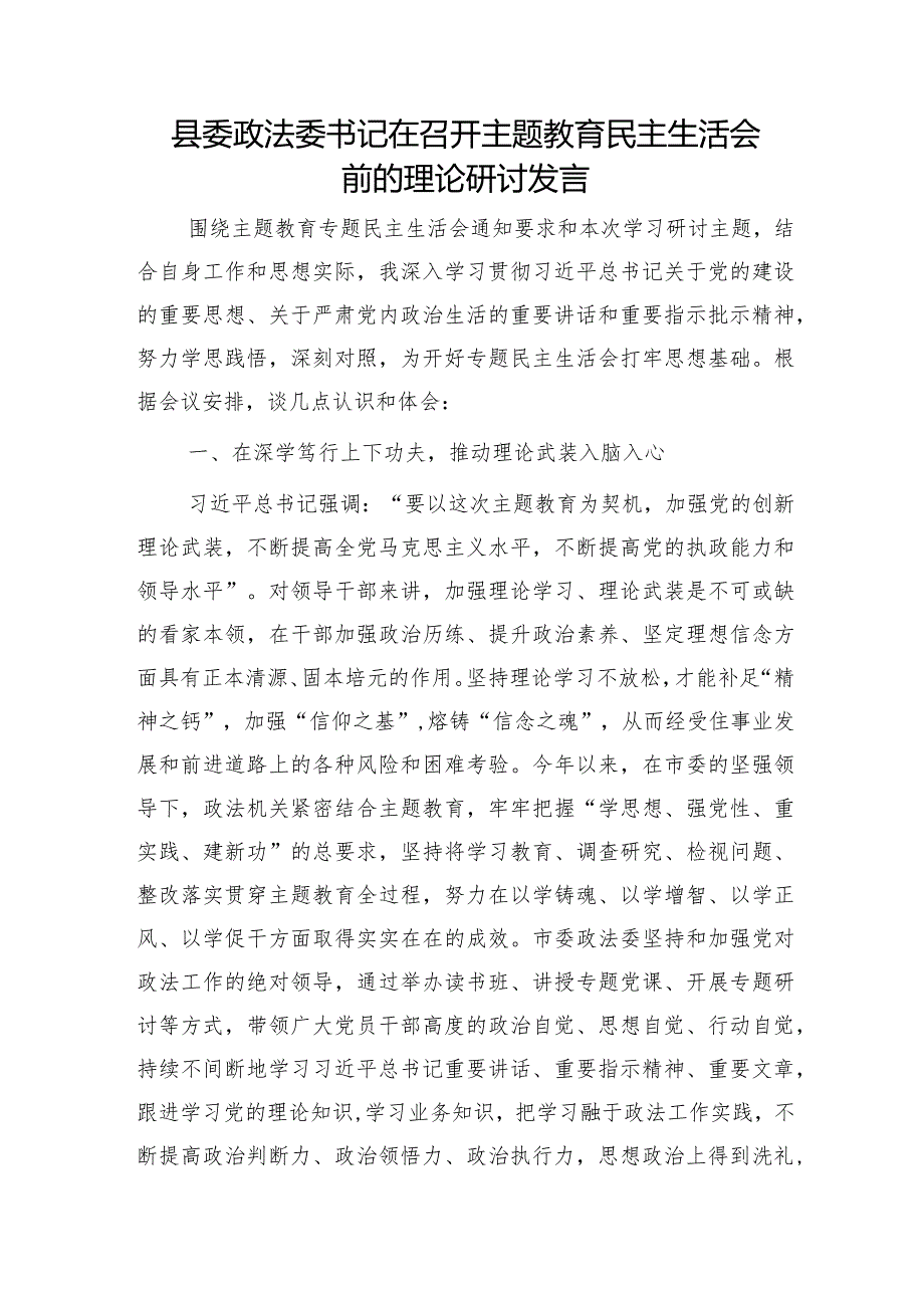 （会前）政法委书记在主题教育专题民主生活会前的理论研讨发言.docx_第1页