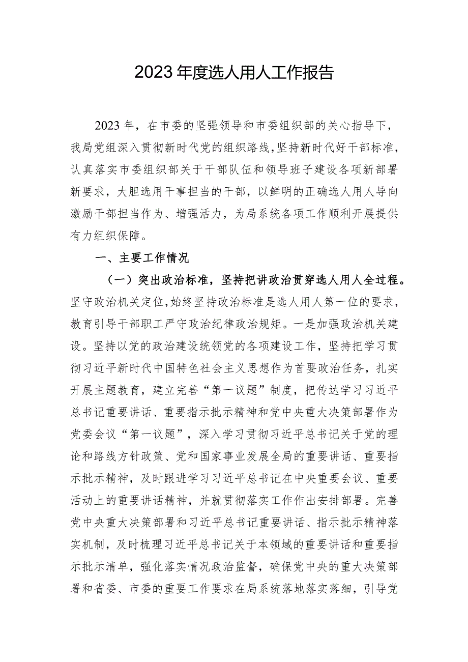 2023年度选人用人工作报告.docx_第1页