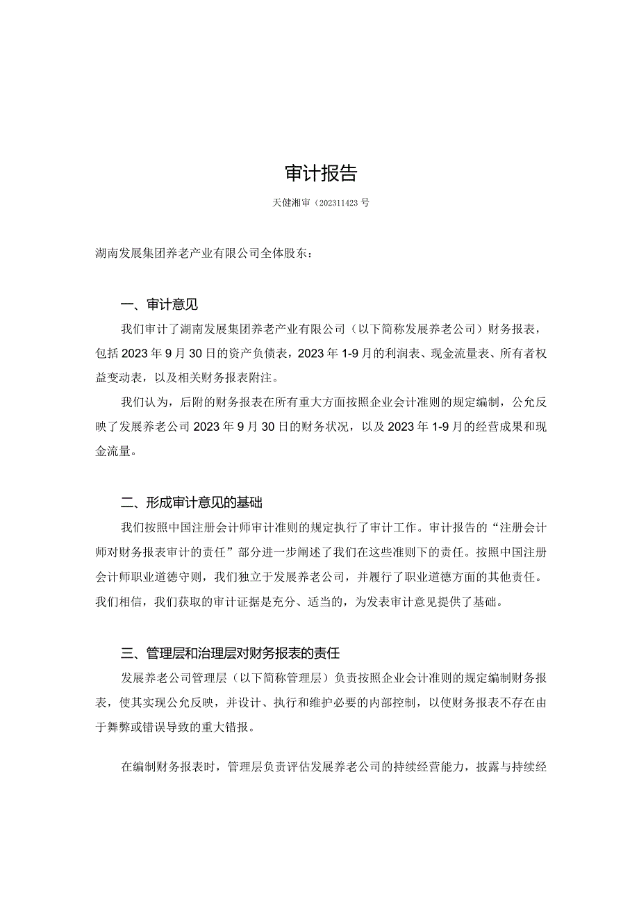 湖南发展：湖南发展集团养老产业有限公司审计报告.docx_第2页