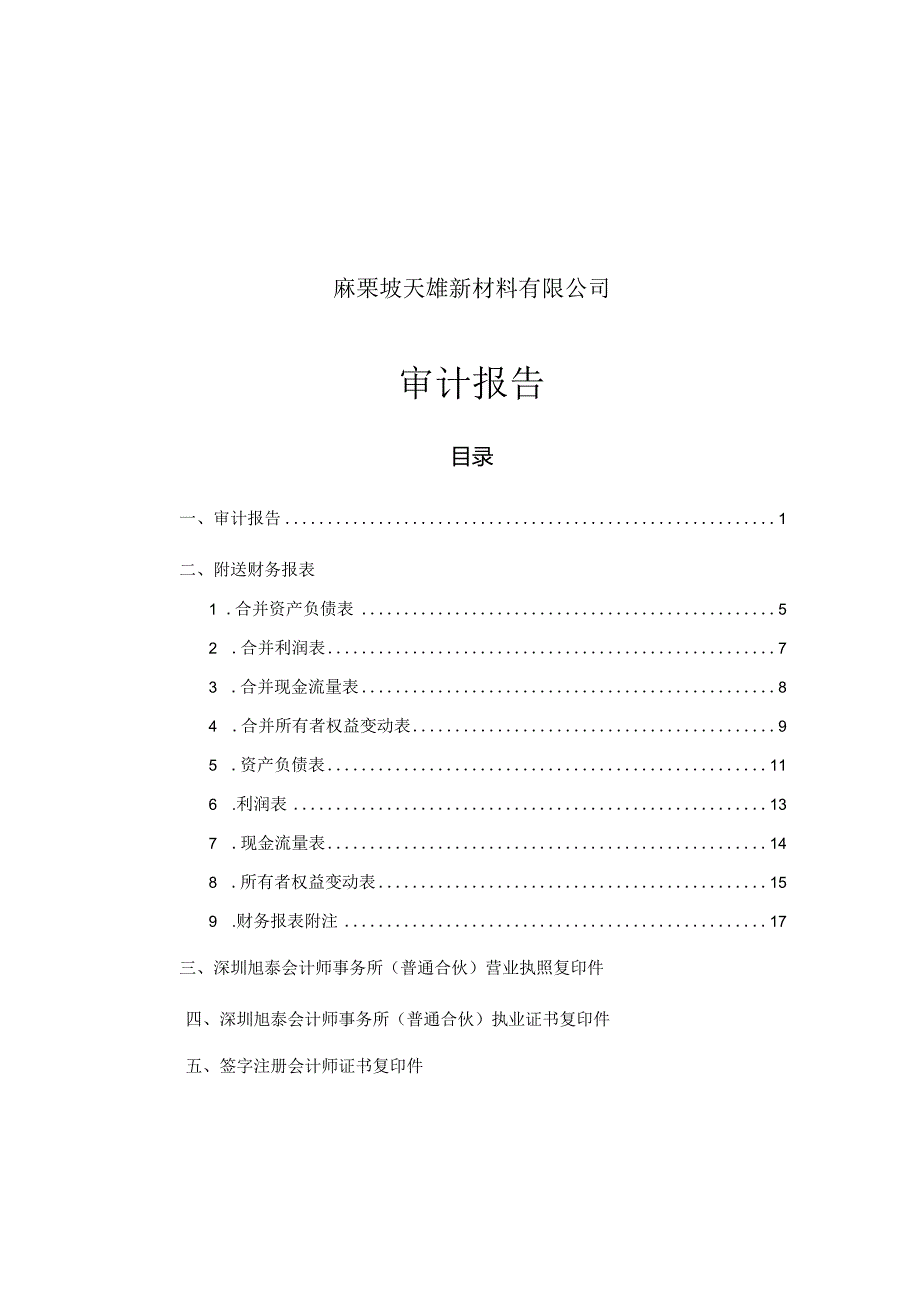 _ST三盛：麻栗坡天雄新材料有限公司2023年1月至9月度财务报表审计报告.docx_第2页