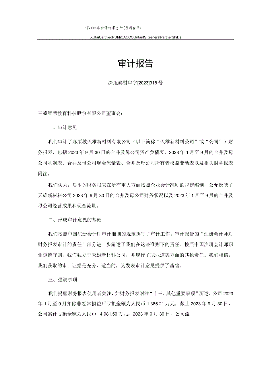 _ST三盛：麻栗坡天雄新材料有限公司2023年1月至9月度财务报表审计报告.docx_第3页