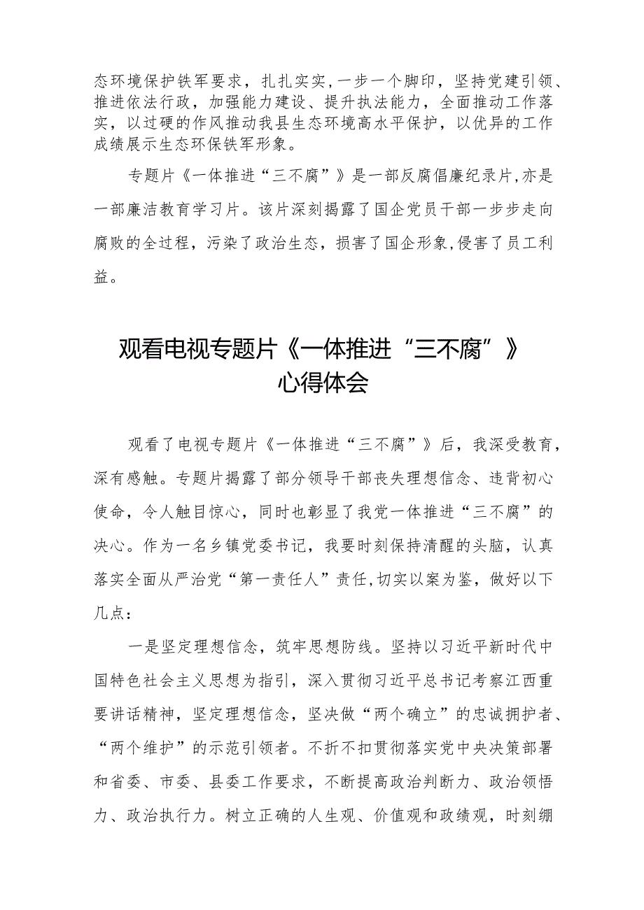 2024年纪检监察干部观看《一体推进“三不腐”》电视专题片的心得体会十六篇.docx_第2页