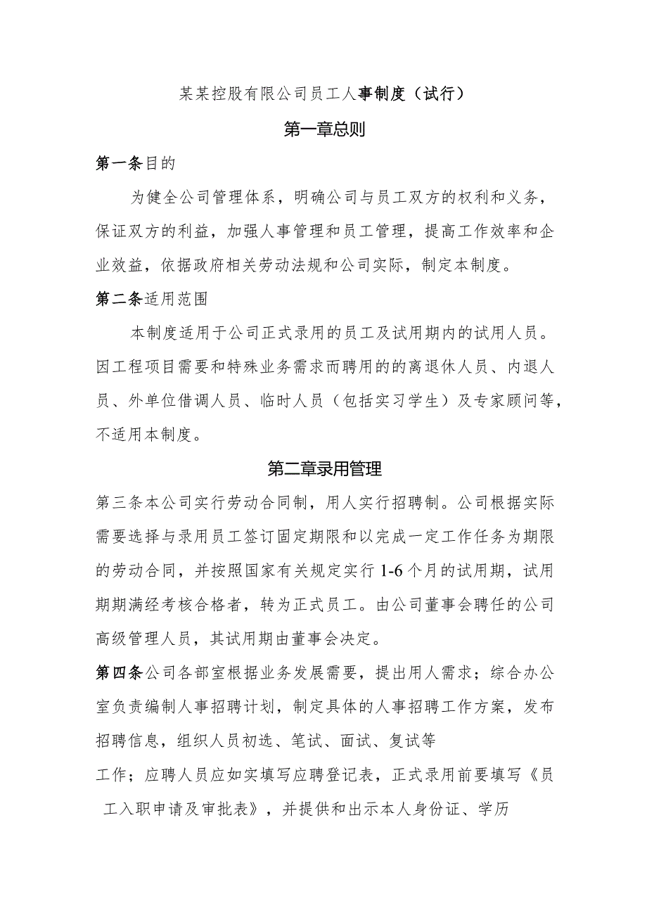 某某控股有限公司员工人事制度.docx_第1页