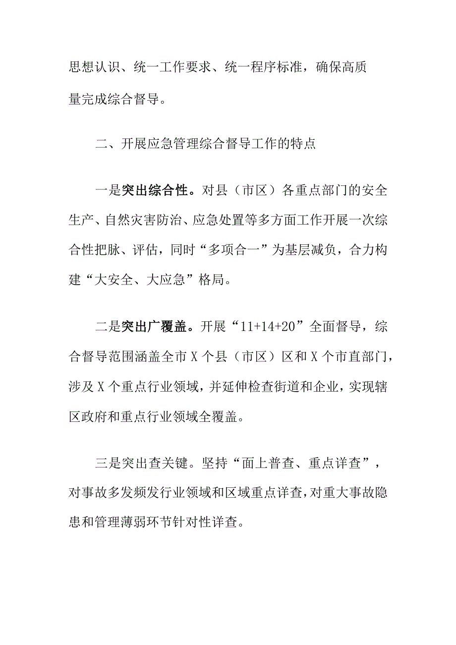 X市应急委办开展20XX应急管理综合督导工作措施.docx_第2页