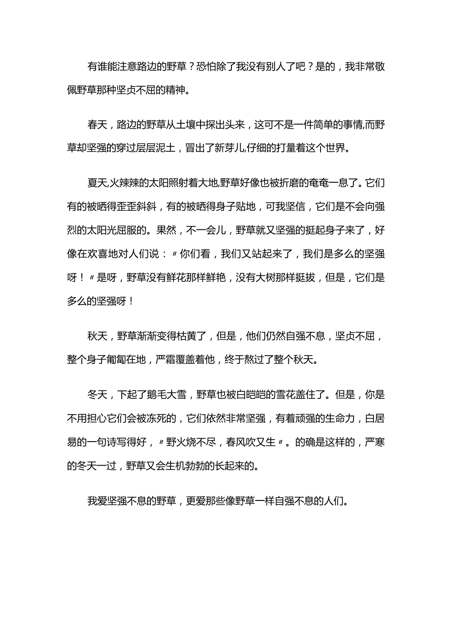 野草启示 作文48篇全套.docx_第2页