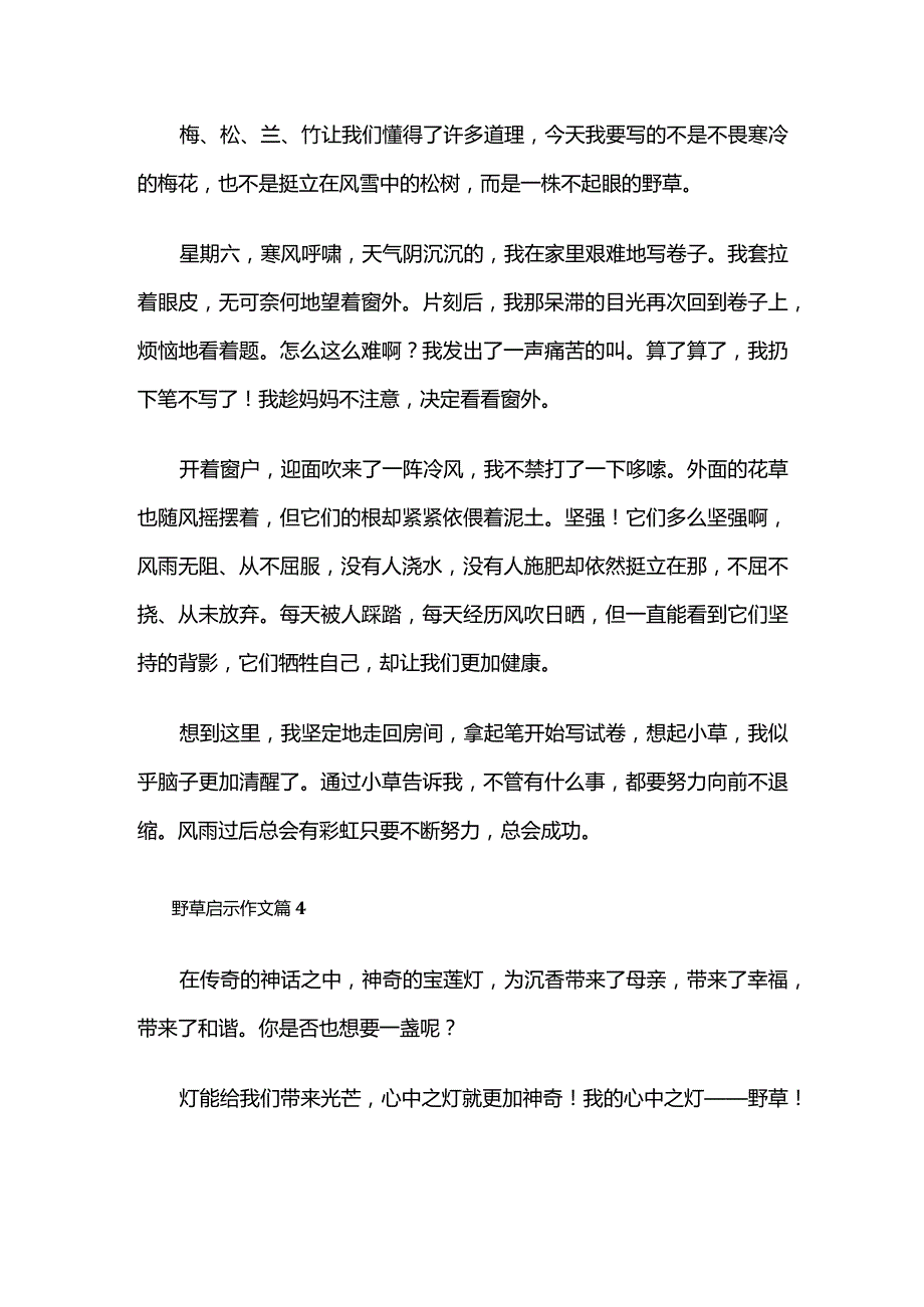 野草启示 作文48篇全套.docx_第3页