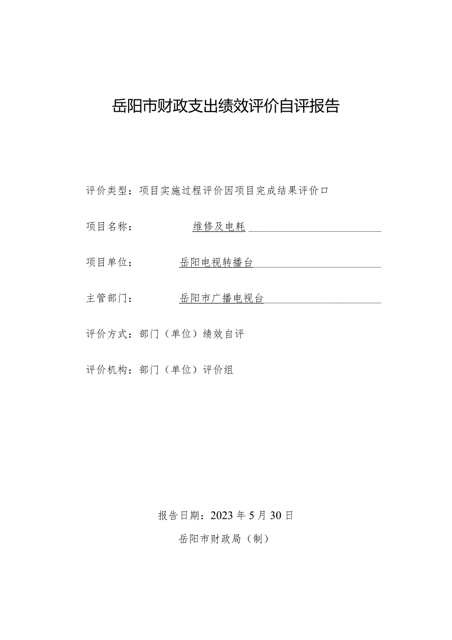 岳阳市财政支出绩效评价自评报告.docx_第1页