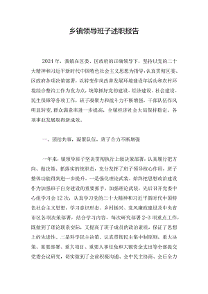 乡镇领导班子述职报告.docx
