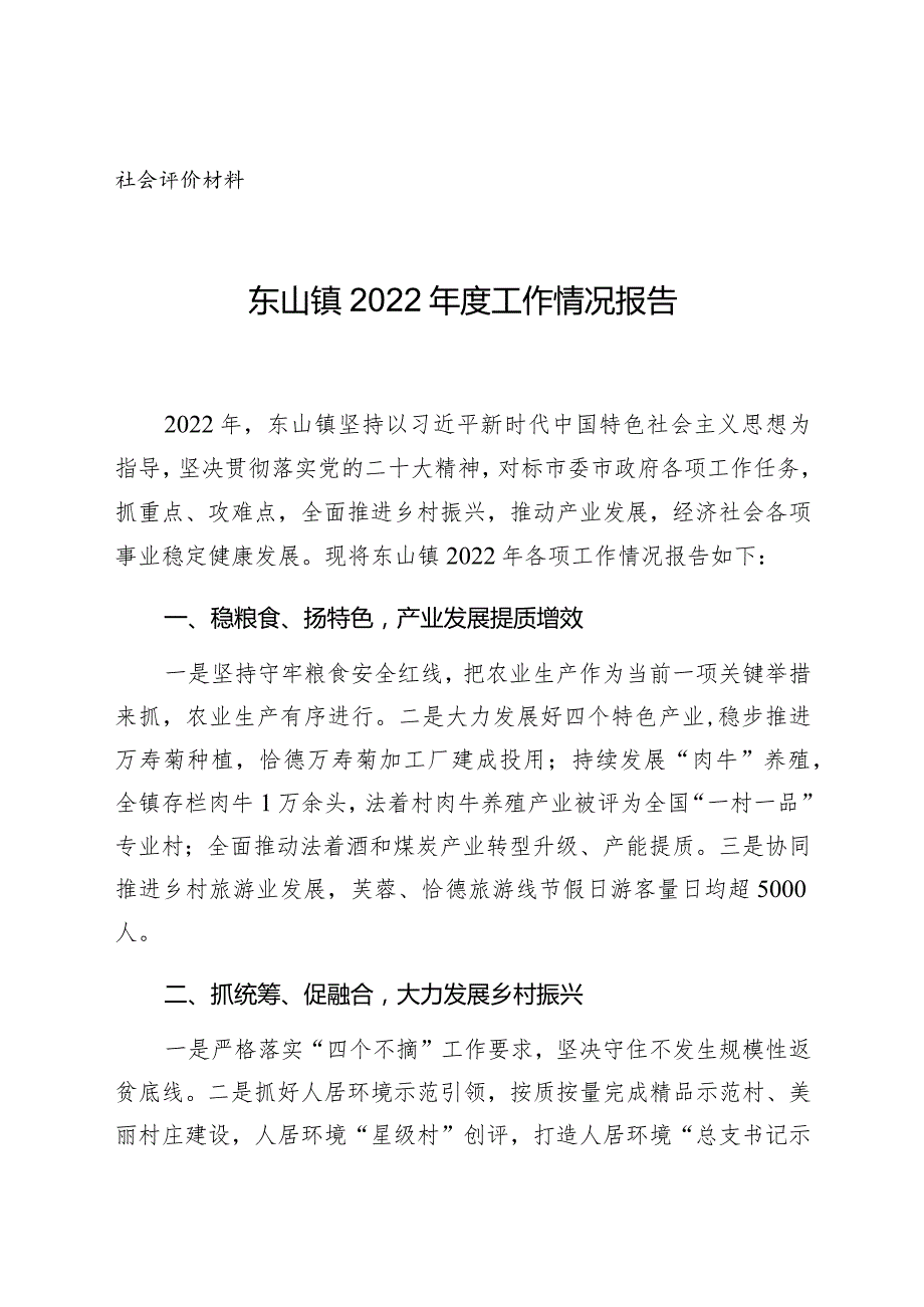 社会评价材料东山镇2022年度工作情况报告.docx_第1页