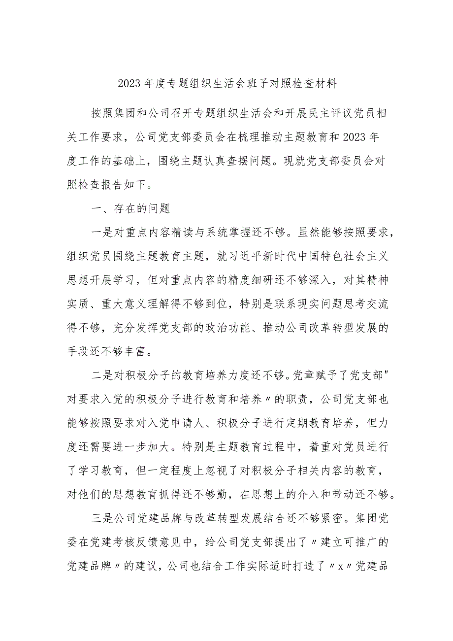 国企公司党支部班子2023-2024年度专题组织生活会班子对照检查材料.docx_第1页