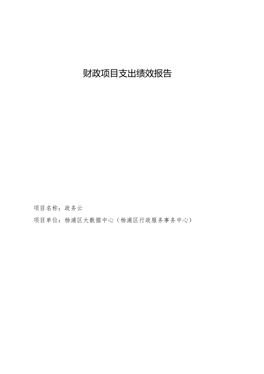 财政项目支出绩效报告.docx_第1页