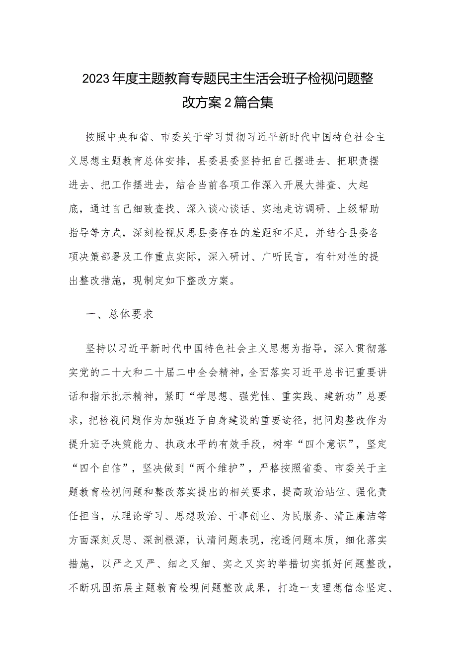 2023年度主题教育专题民主生活会班子检视问题整改方案2篇合集.docx_第1页