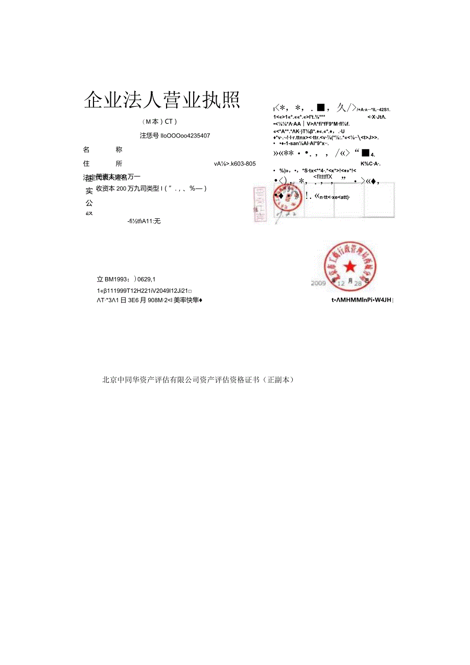 中同华评估大中型公司简介.docx_第3页