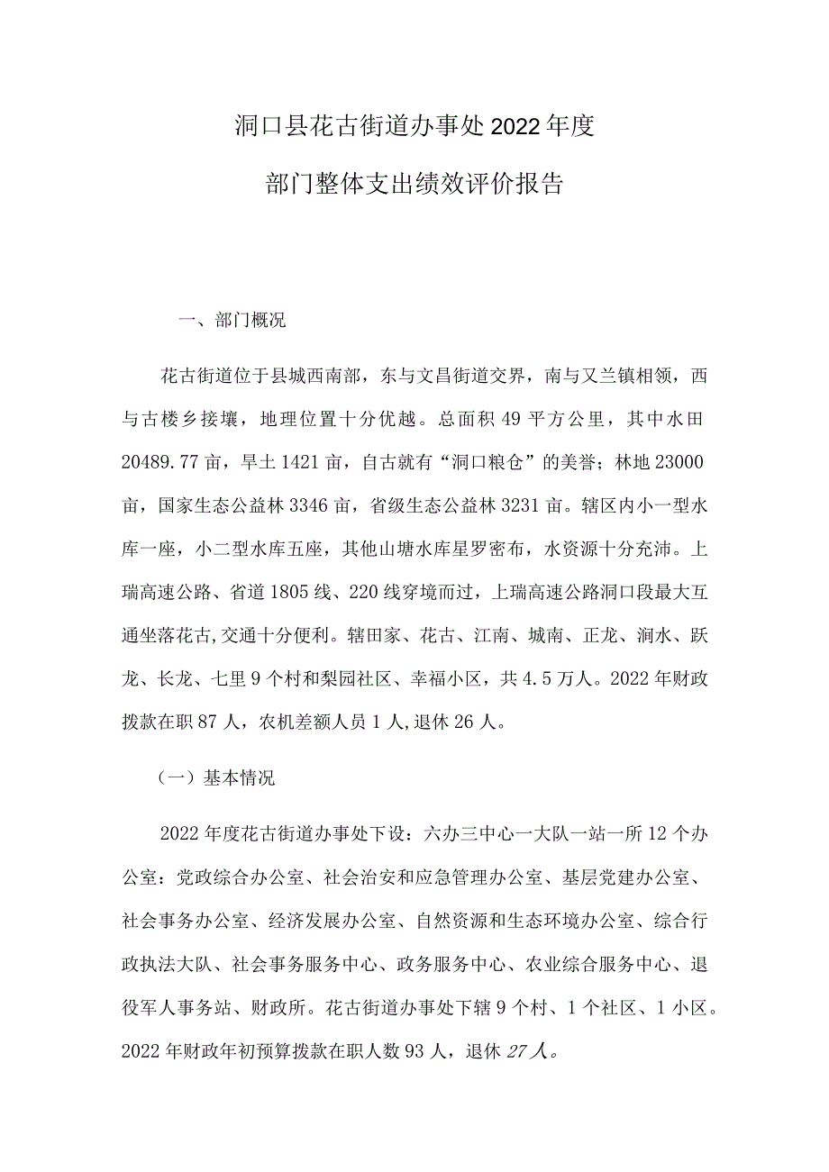 洞口县花古街道办事处2022年度部门整体支出绩效评价报告.docx_第1页