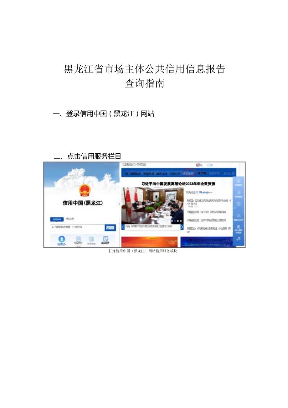 黑龙江省市场主体公共信用信息报告查询指南.docx_第1页