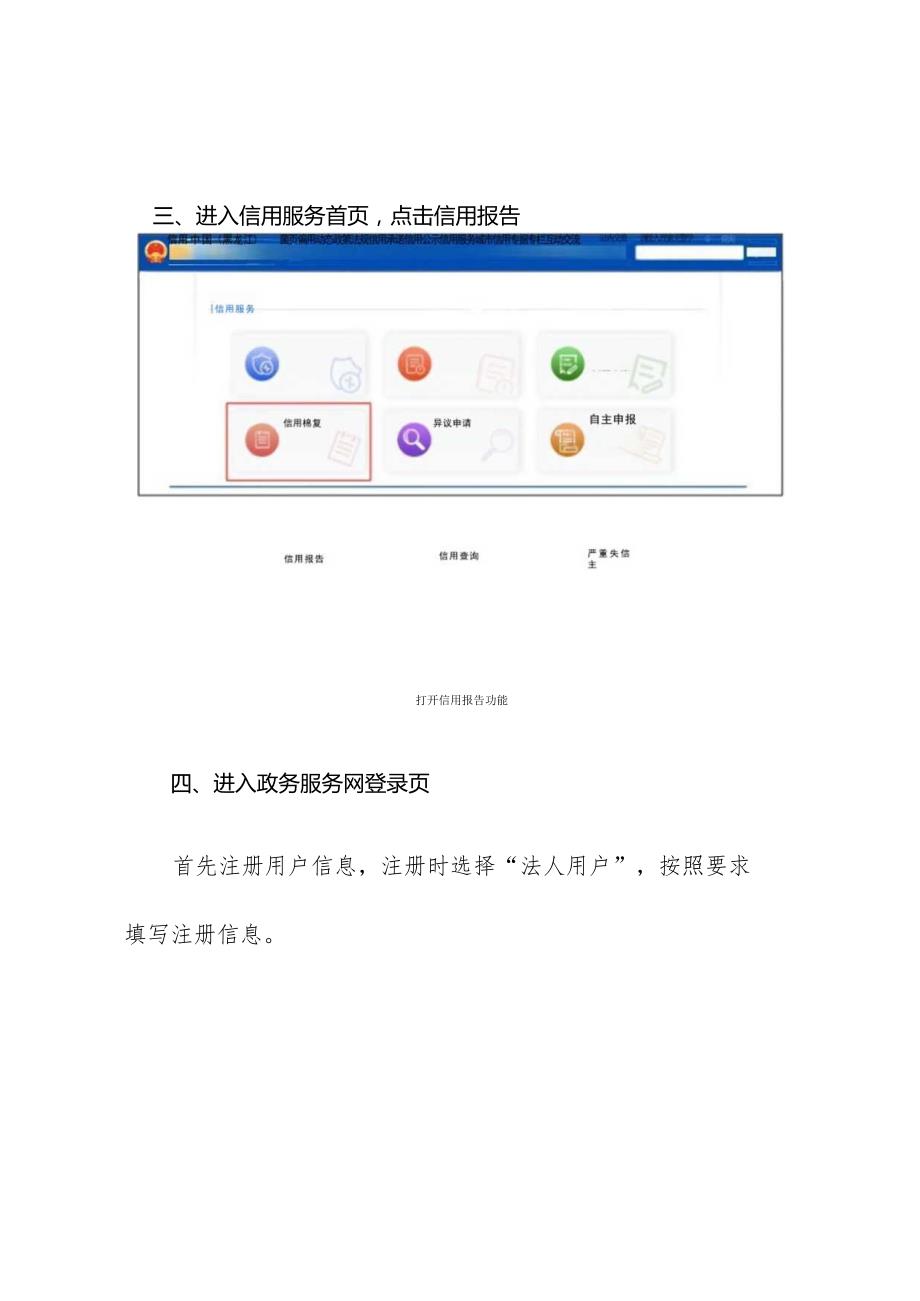 黑龙江省市场主体公共信用信息报告查询指南.docx_第2页