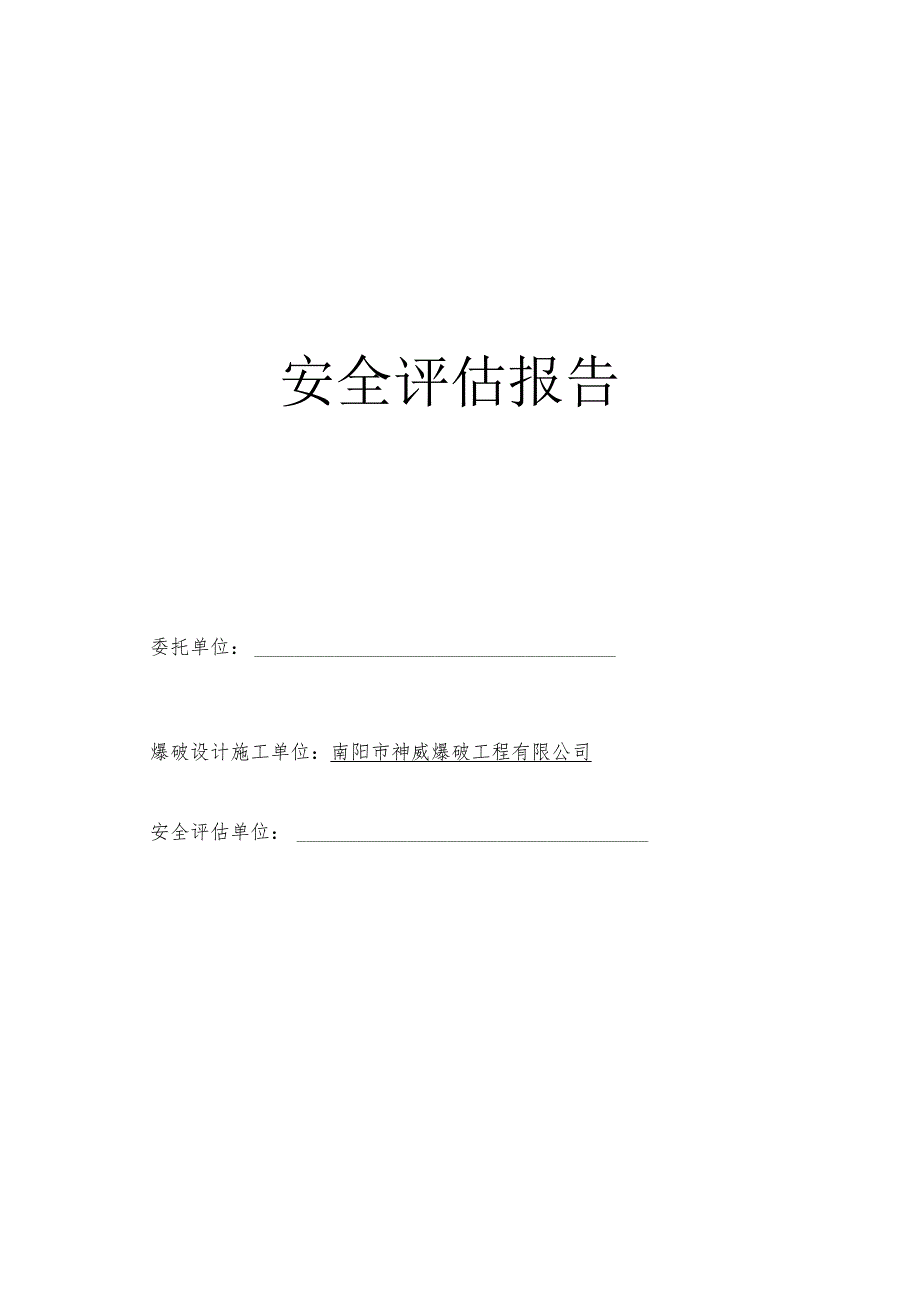 安全评估报告.docx_第1页