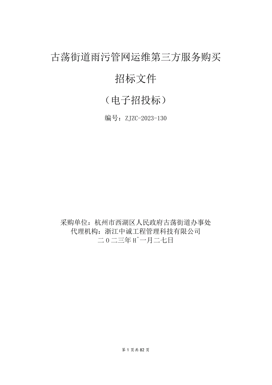 雨污管网运维第三方服务购买招标文件.docx_第1页