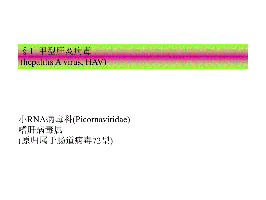 第28章 肝炎病毒[优质文档].ppt_第3页