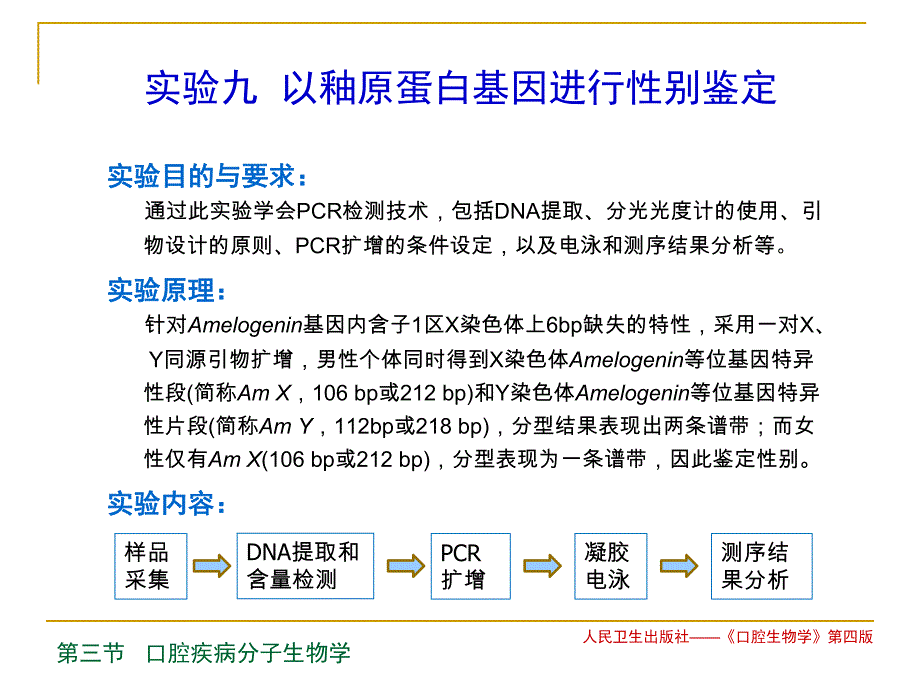 釉原蛋白基因性别鉴定.ppt_第2页