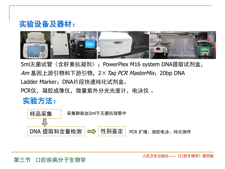 釉原蛋白基因性别鉴定.ppt_第3页