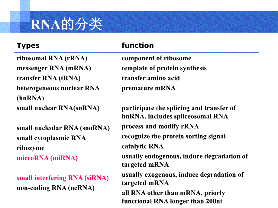 RNAi技术专题讲座PPT.ppt_第2页