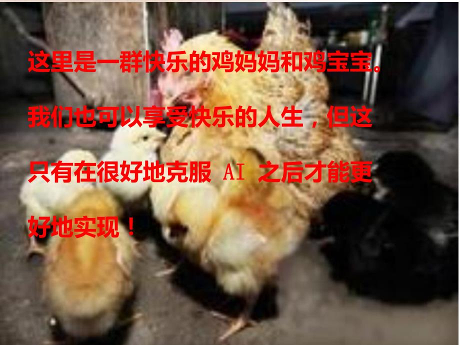 禽流感h7n9知识培训.ppt_第3页