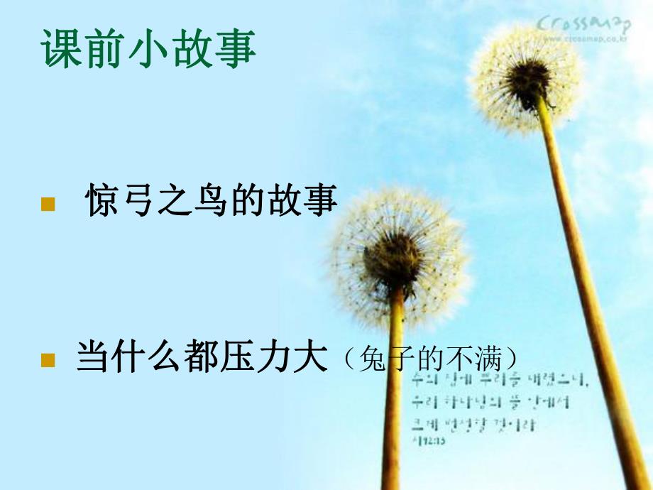 缓解压力.ppt.ppt_第3页