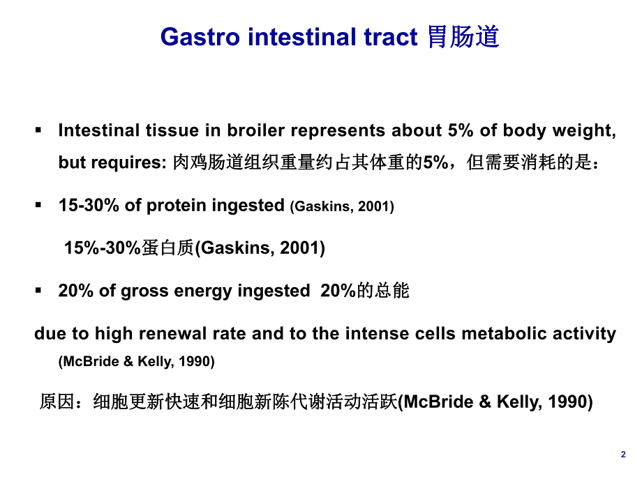 肉仔鸡肠道健康攻略.ppt_第2页