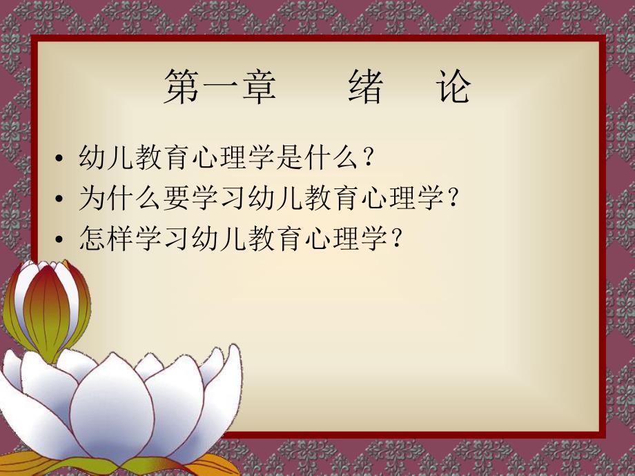 幼儿教育心理学第一章.ppt_第2页