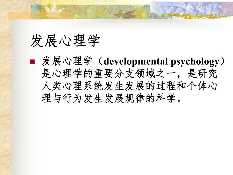 儿童发展心理学.ppt_第2页