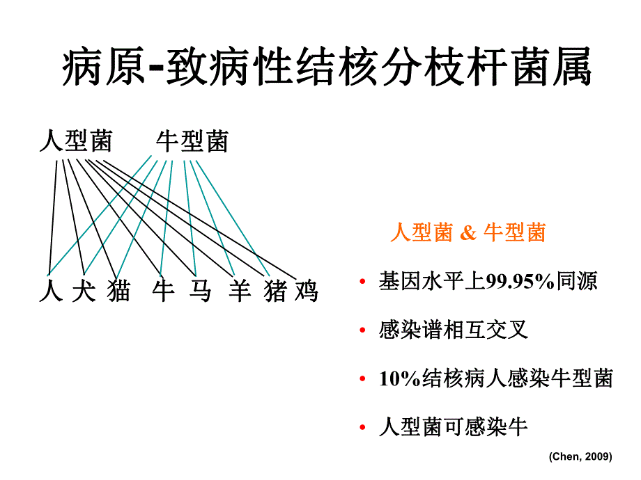 结核分枝杆菌 .ppt_第3页