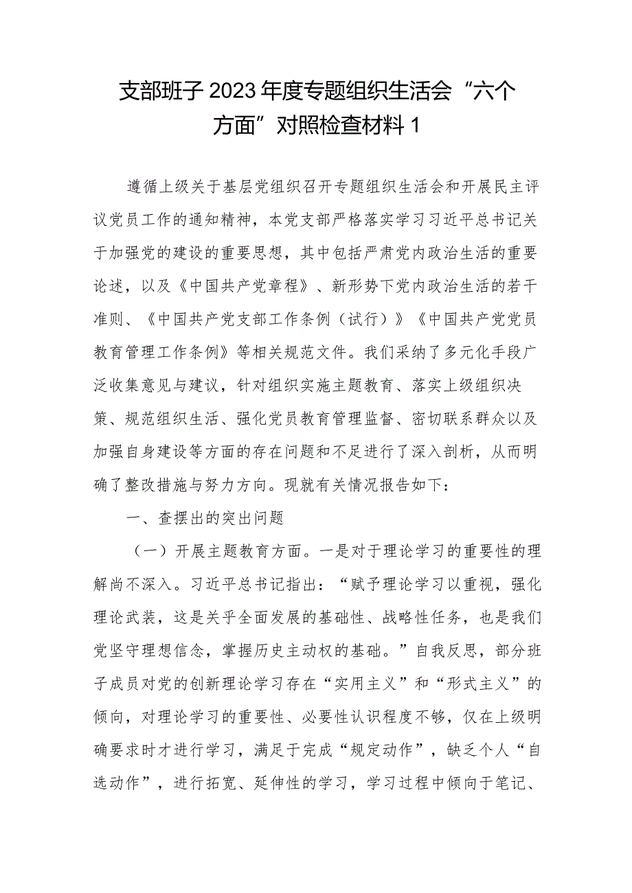 党支部班子2024年1月第二批在执行上级组织决定、严格组织生活、加强党员教育管理监督、联系服务群众、抓好自身建设等方面对照检查材料6篇.docx_第2页