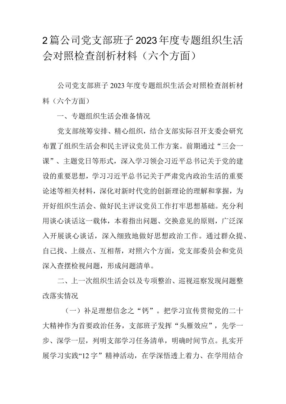 2篇公司党支部班子2023年度专题组织生活会对照检查剖析材料（六个方面）.docx_第1页