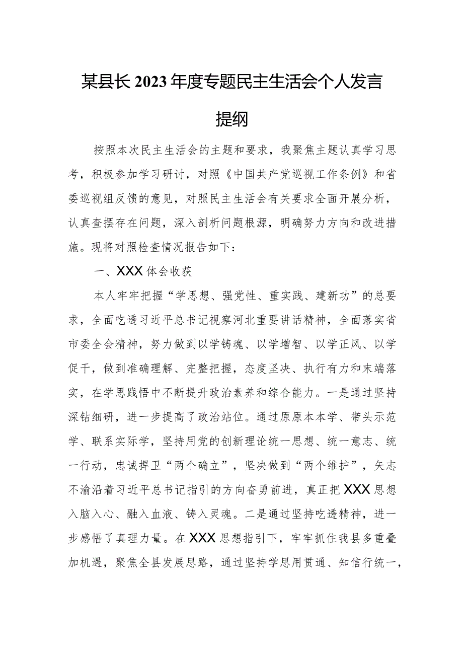 某县长2023年度专题民主生活会个人发言提纲.docx_第1页