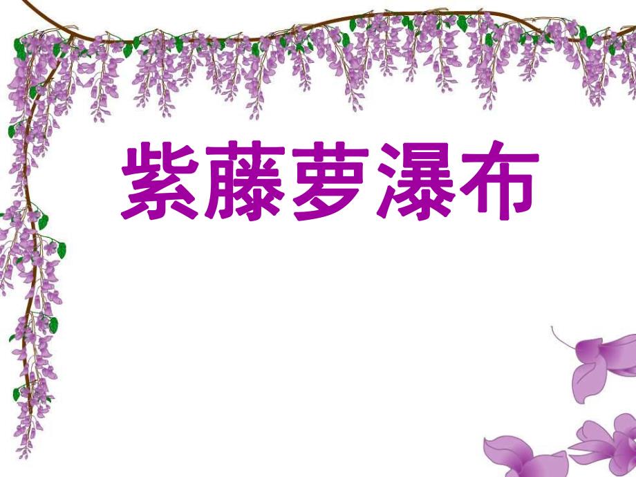 紫藤萝瀑布(公开课).ppt_第1页