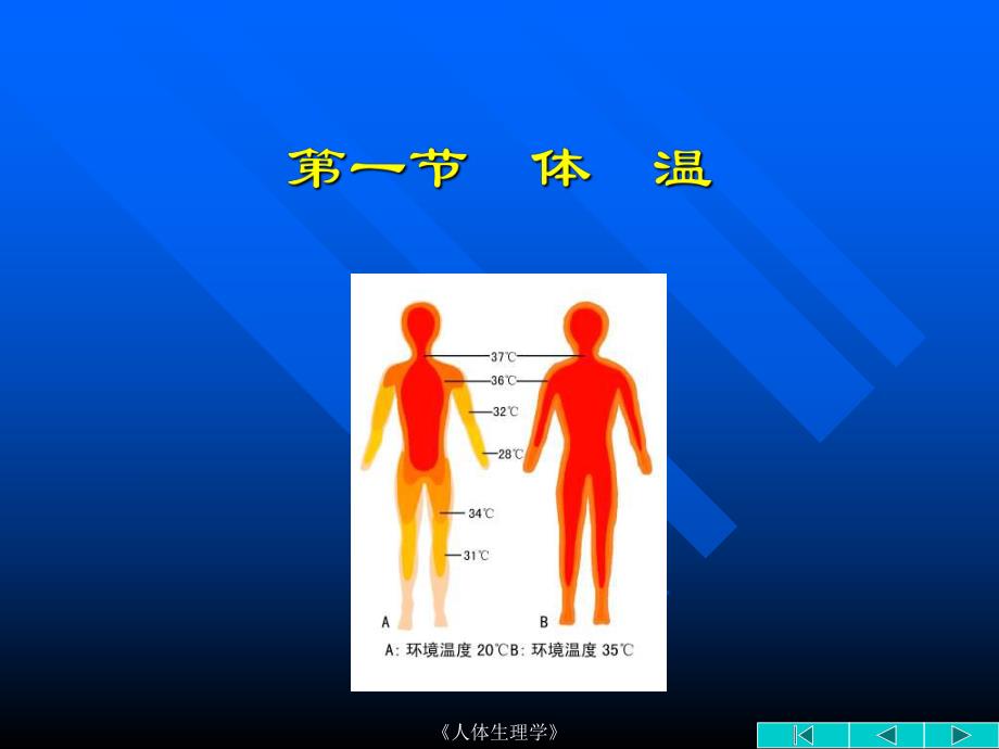 【基础医学】17 冷、热环境与运动.ppt_第3页