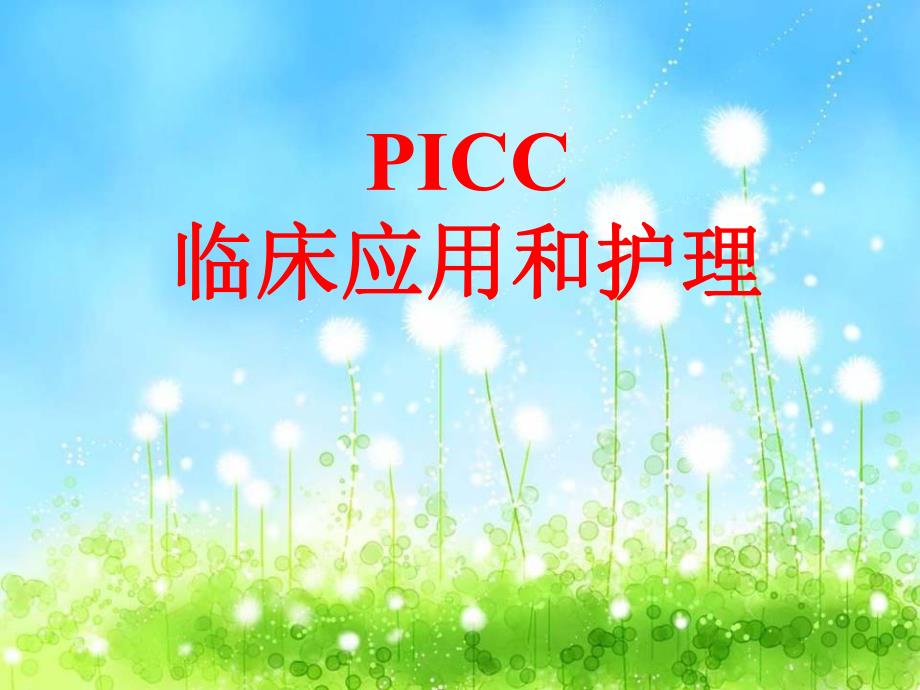 PICC护理查房.ppt_第1页