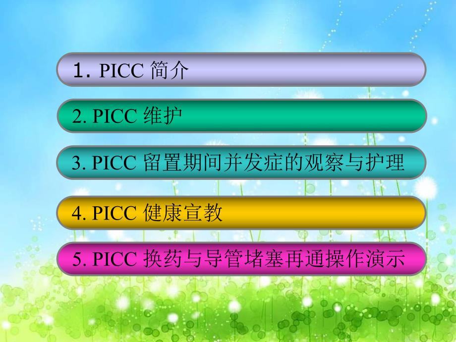 PICC护理查房.ppt_第2页