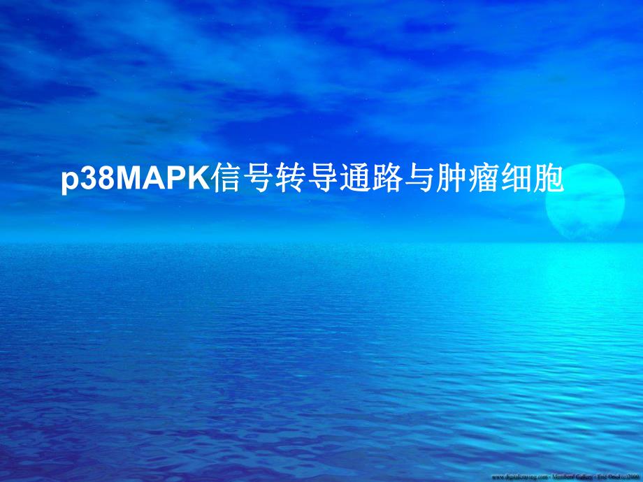 p38MAPK信号转导通路与肿瘤细胞.ppt.ppt_第1页