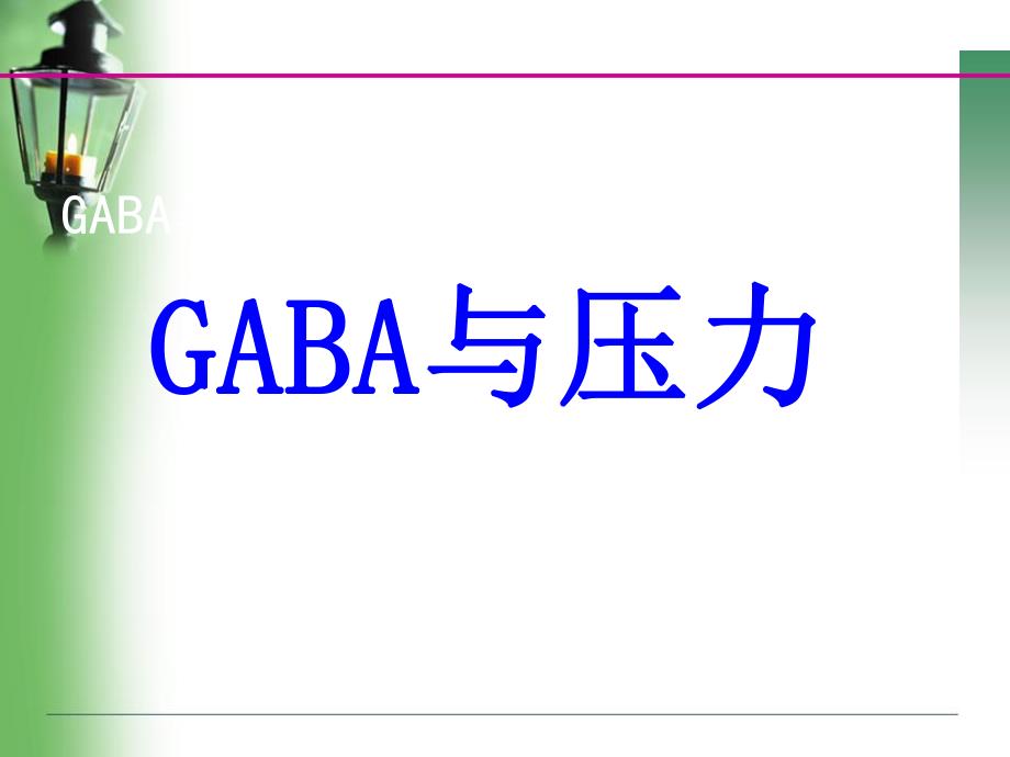 GABA与压力、失眠.ppt_第2页