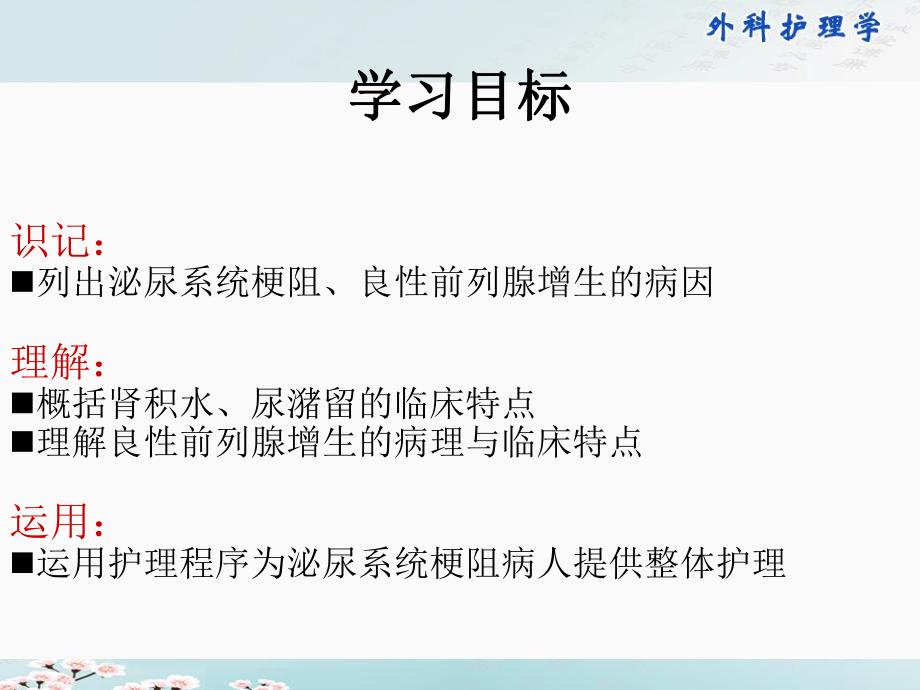 38第三十八章 泌尿系统梗阻病人的护理.ppt_第2页