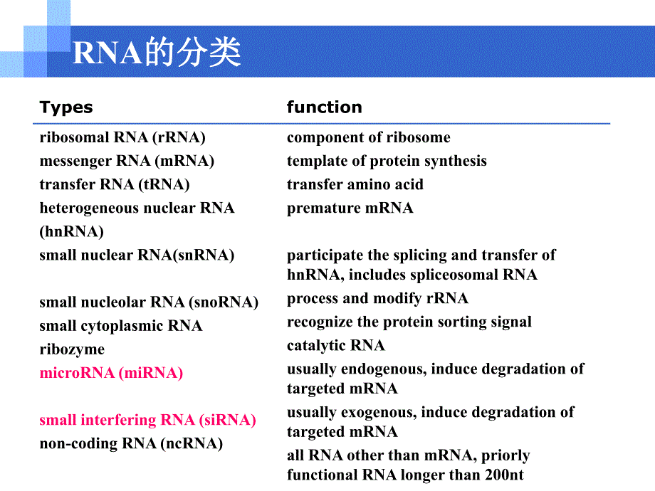 RNAi技术专题讲座PPT.ppt_第2页