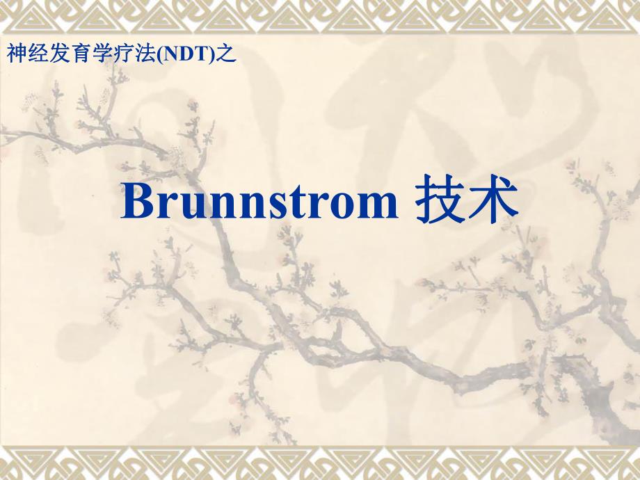 Brunnstrom 技术.ppt_第1页